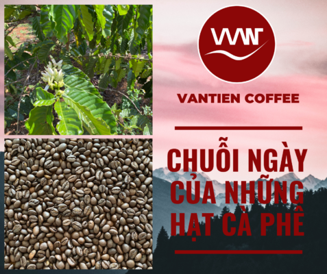 Sứ mệnh của Vantien Coffee